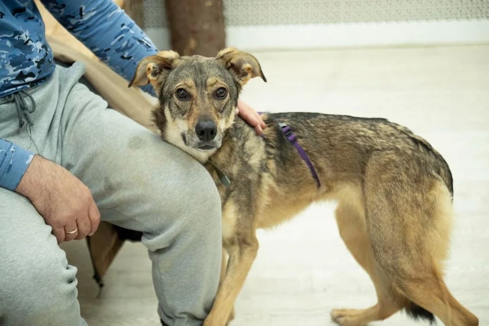 Lika danst door het leven photo 8