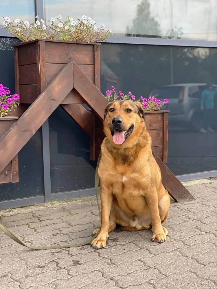 Lowie is een schatje photo 5