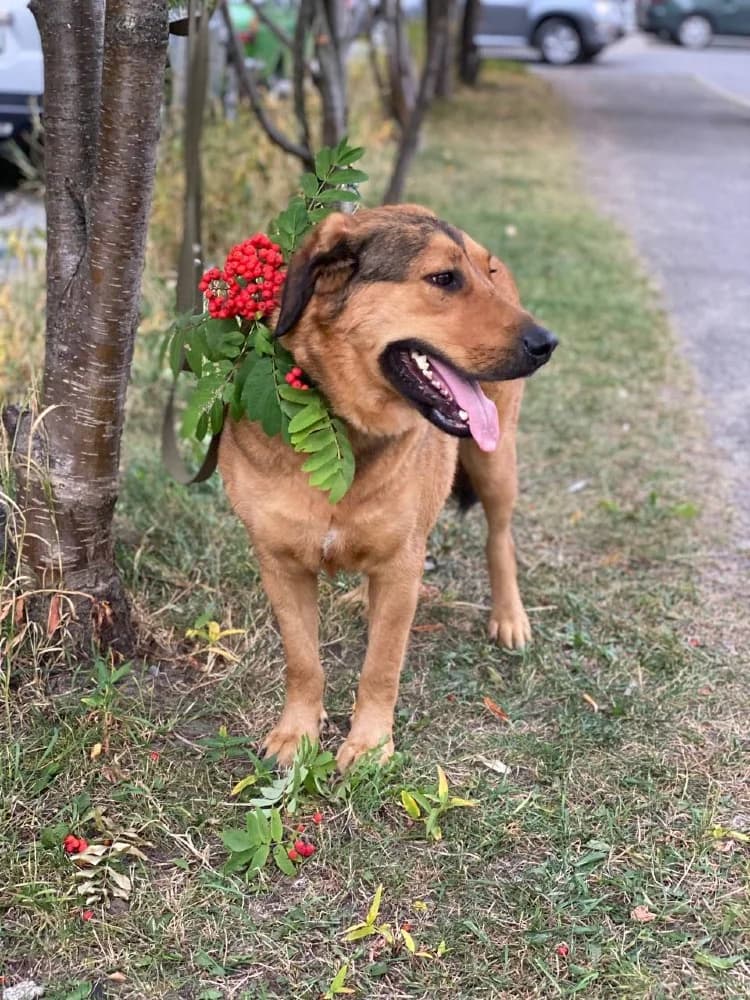 Lowie is een schatje photo 6