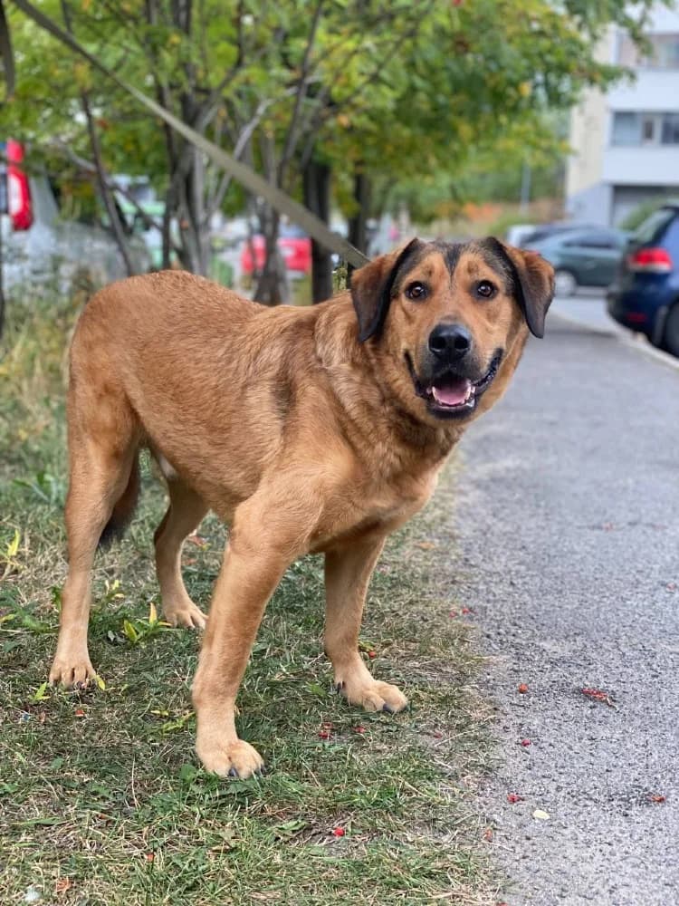 Lowie is een schatje photo 7