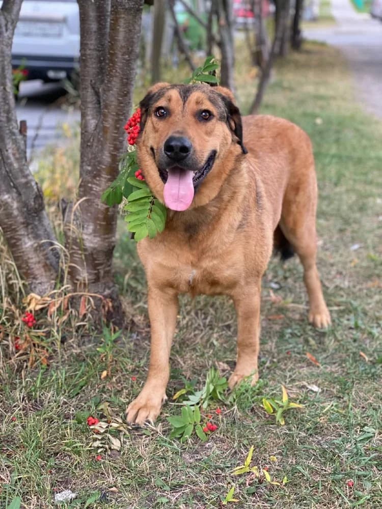 Lowie is een schatje photo 4