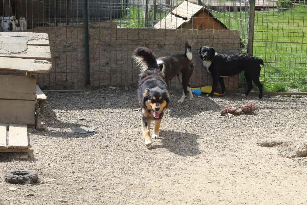 ❤️Luluta❤️ photo 6