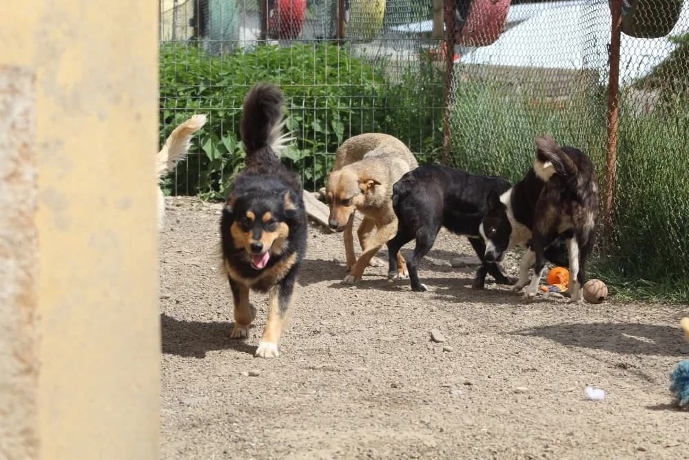 ❤️Luluta❤️ photo 7