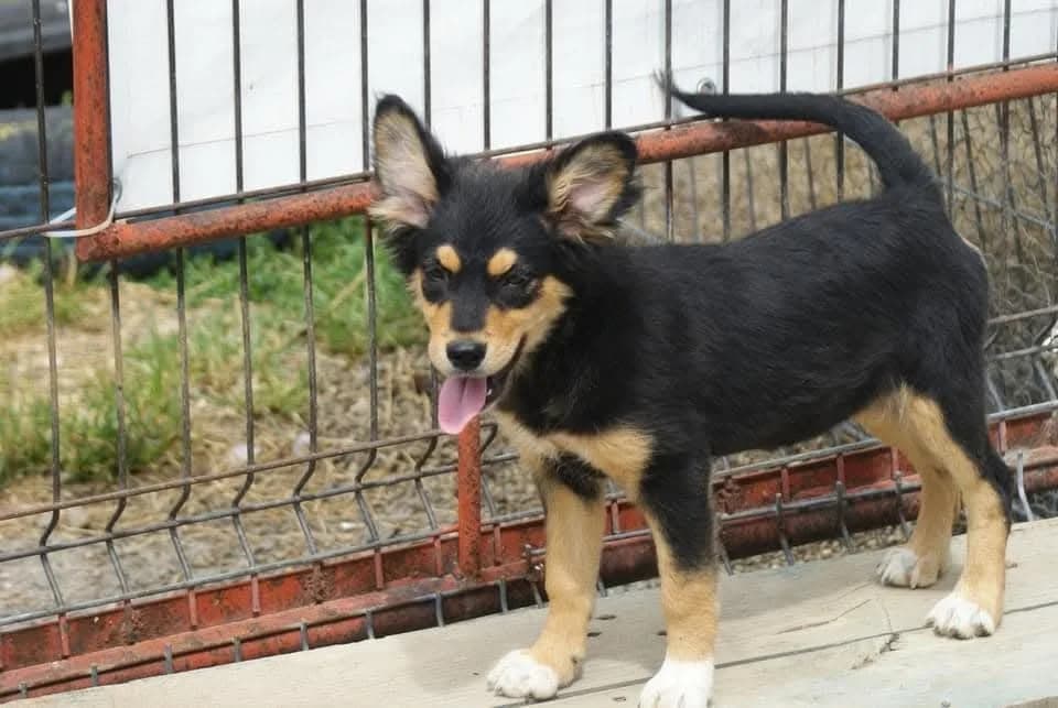 ❤️Luluta❤️ photo 8