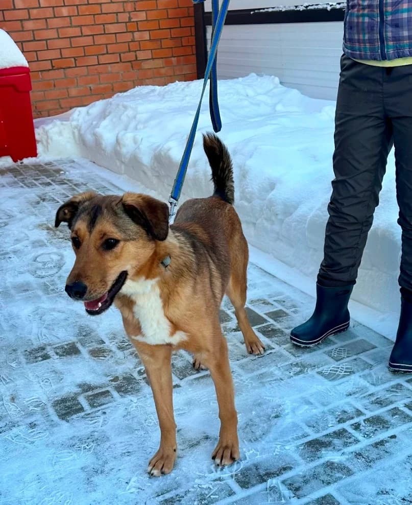 Lychee – jouw zonneschijn photo 5