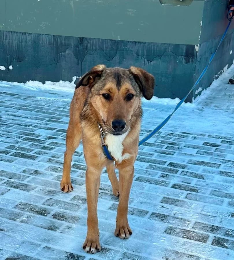 Lychee – jouw zonneschijn photo 7