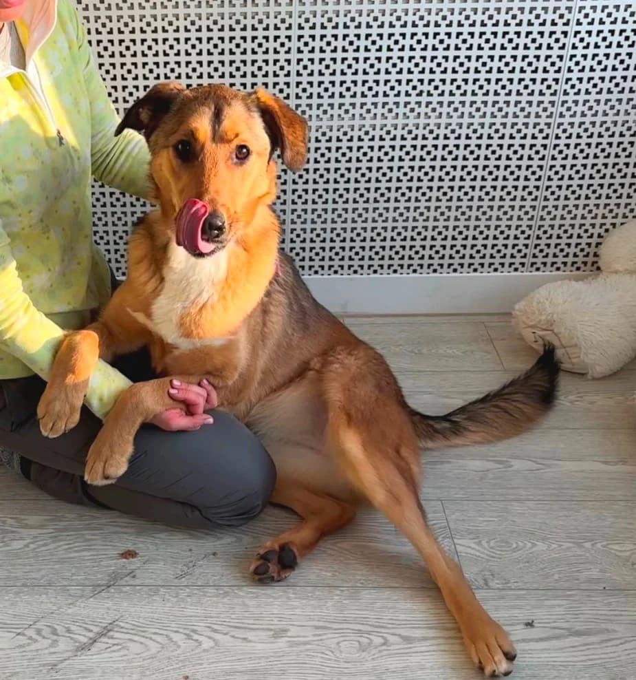 Lychee – jouw zonneschijn