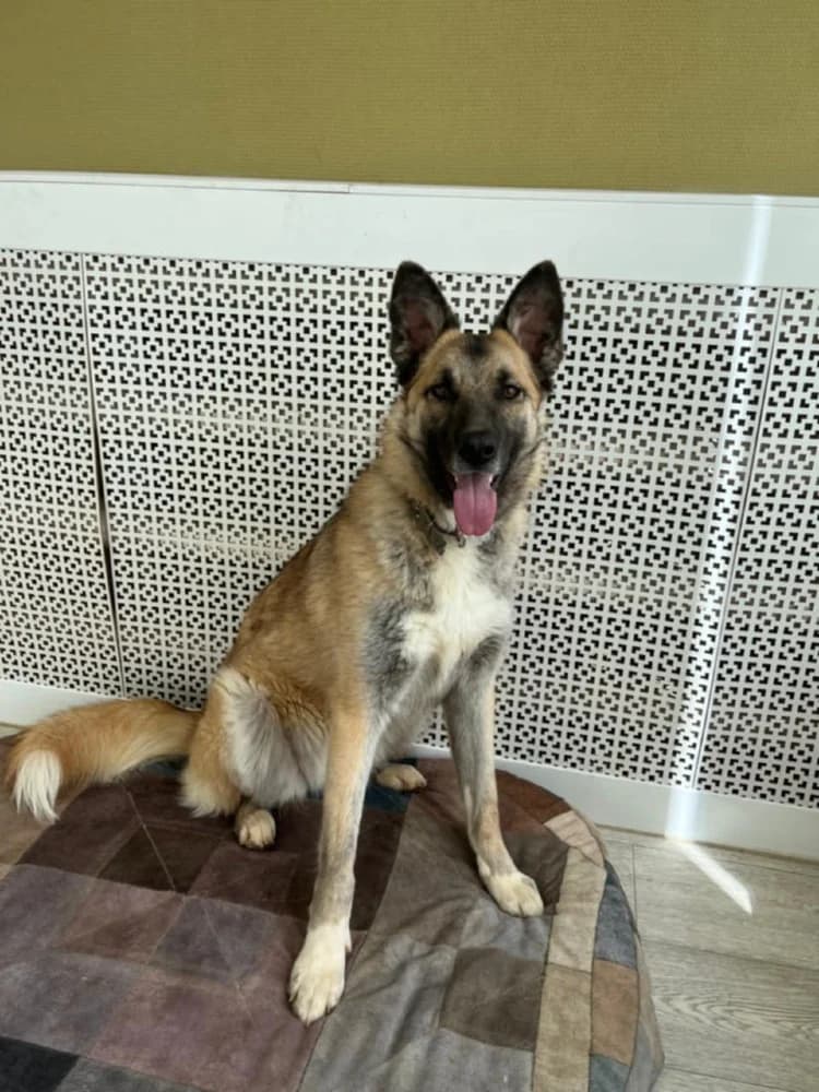 Melissa lief en mooi! photo 8