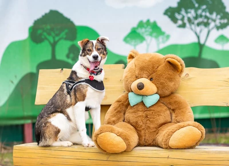 Mokka fee en kindervriend photo 5