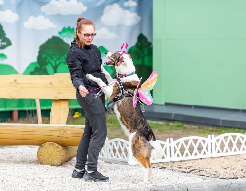 Mokka fee en kindervriend photo 6