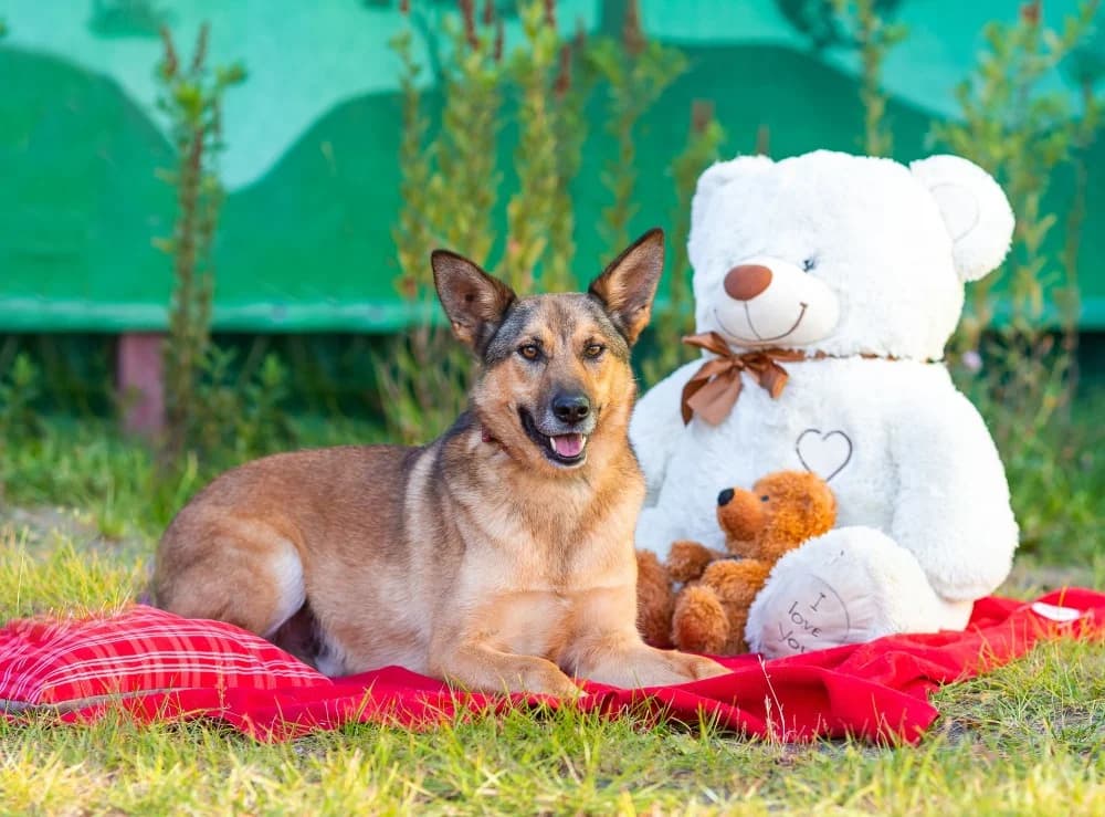 Naiti vrolijke roodharige photo 6