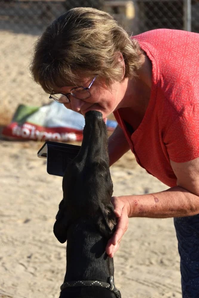 Nano de Barcience DC photo 3