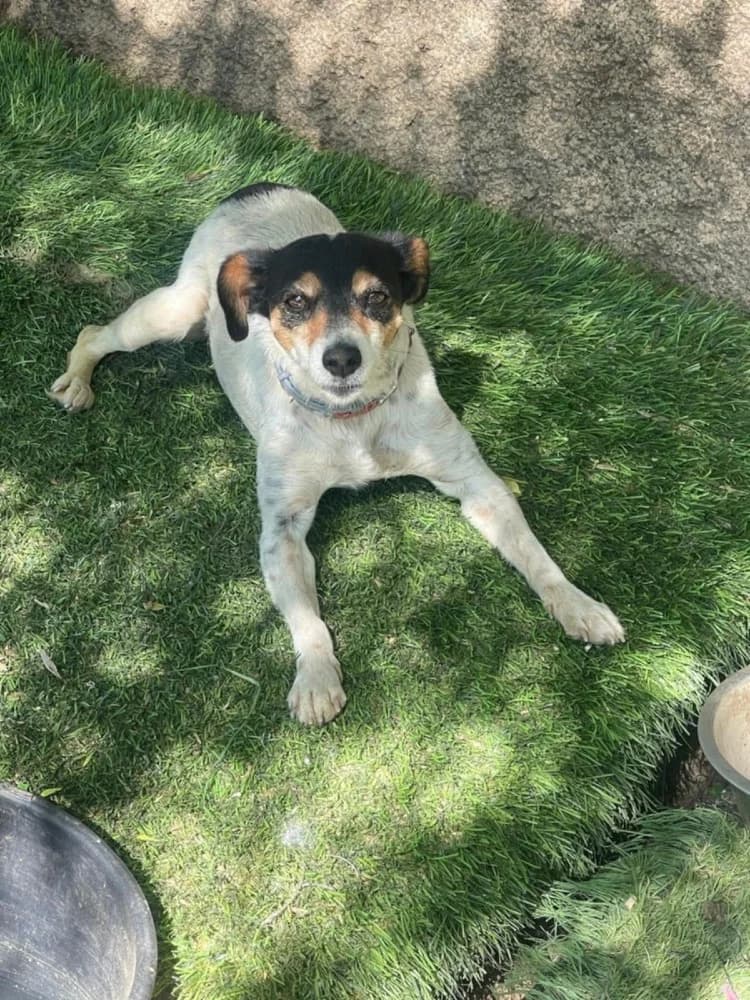 Olga BR, handicap photo 6