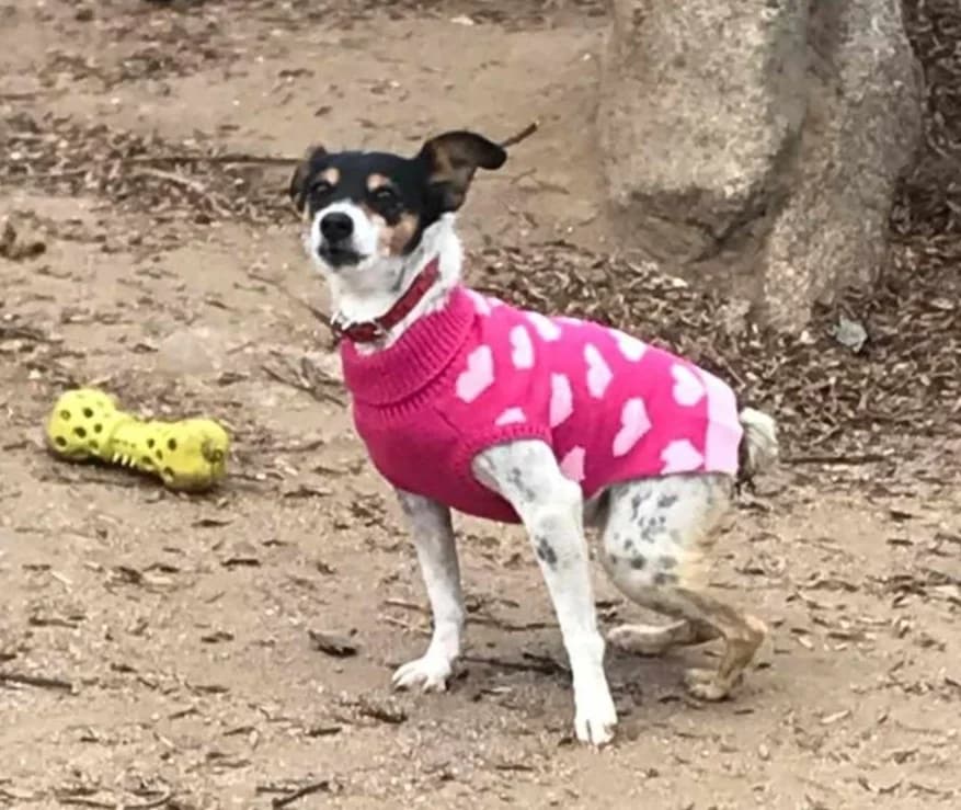 Olga BR, handicap photo 8