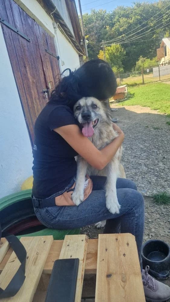 ❤️Peggy❤️ photo 5