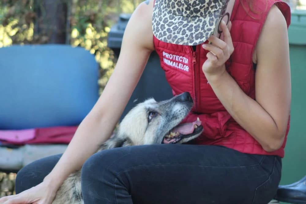 ❤️Peggy❤️ photo 3