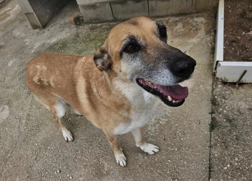 Pili RP senior photo 7