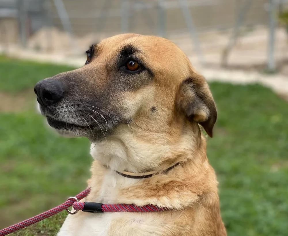 Pili RP senior photo 8