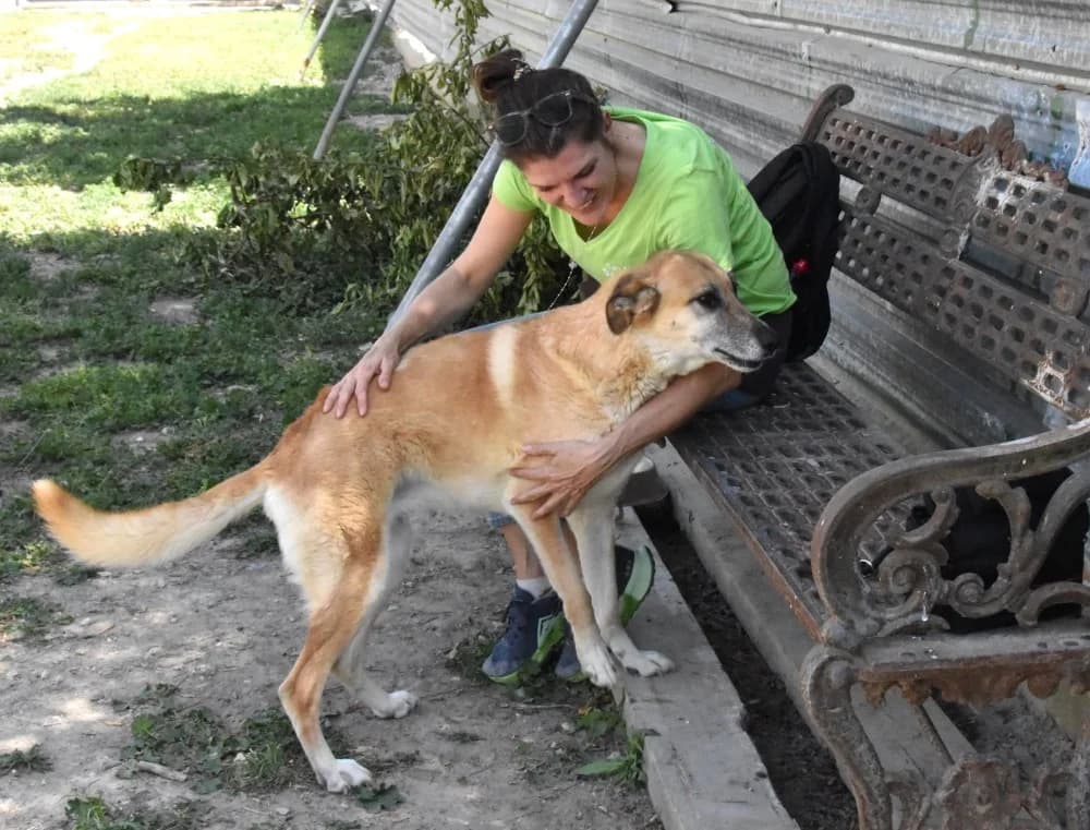 Pili RP senior photo 4