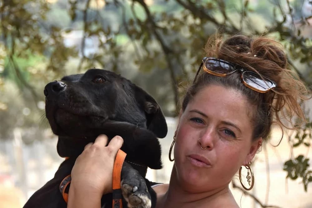 Polvorilla DC photo 5