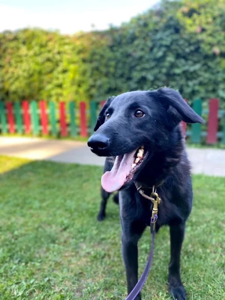 REM onze held! photo 8