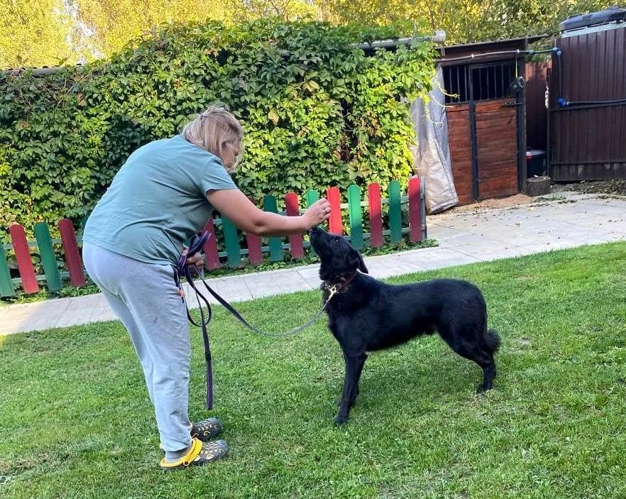 REM onze held! photo 3