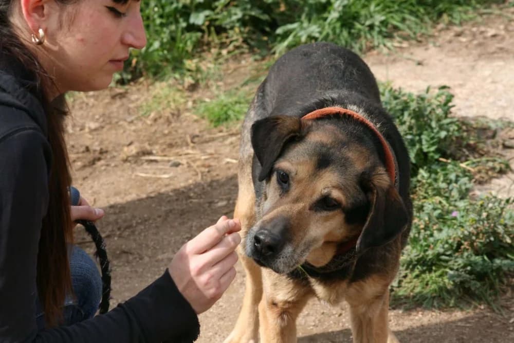 Roberto BR, senior photo 8