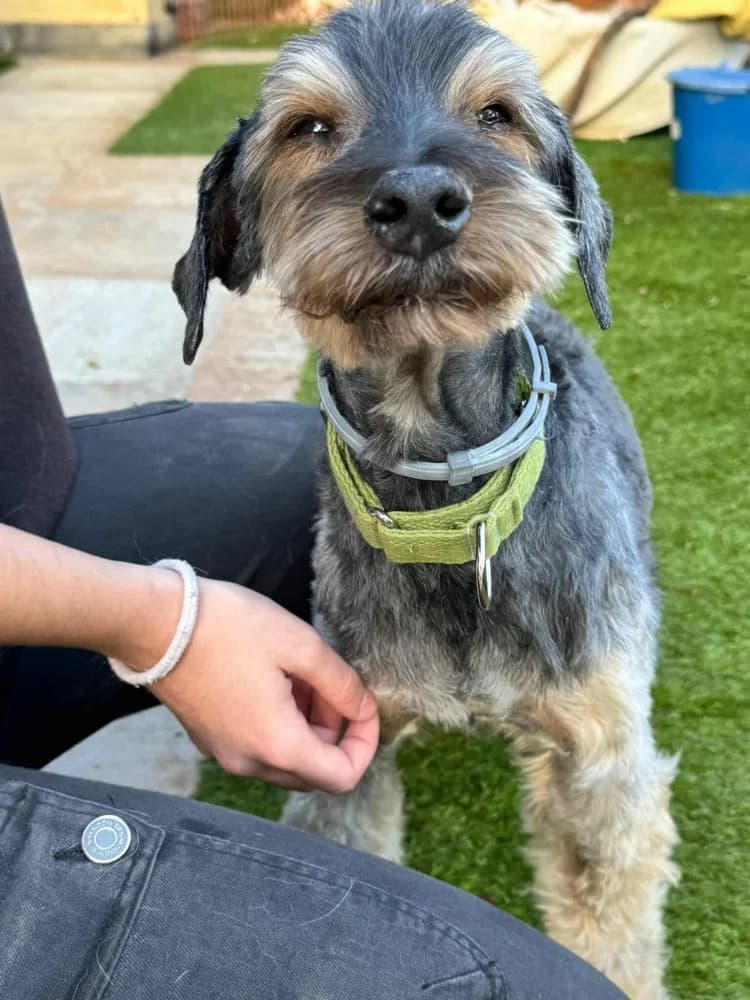 Rox BR senior photo 7