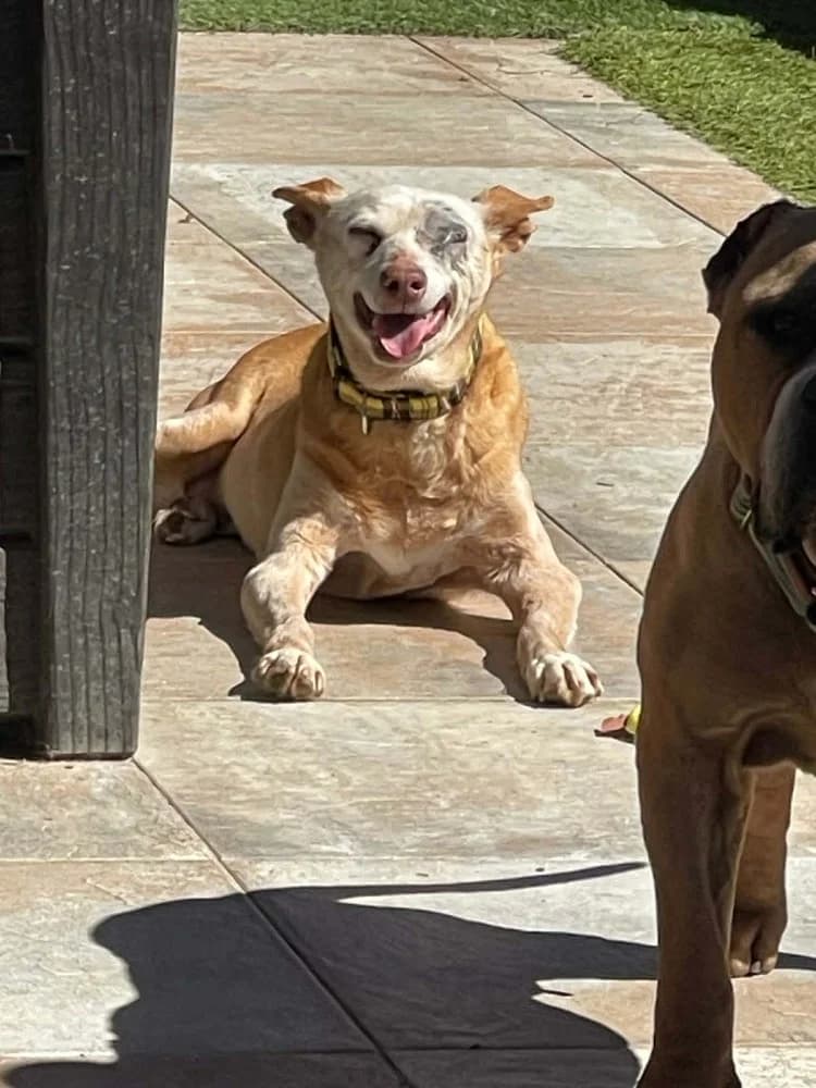 Scarlet BR senior photo 8