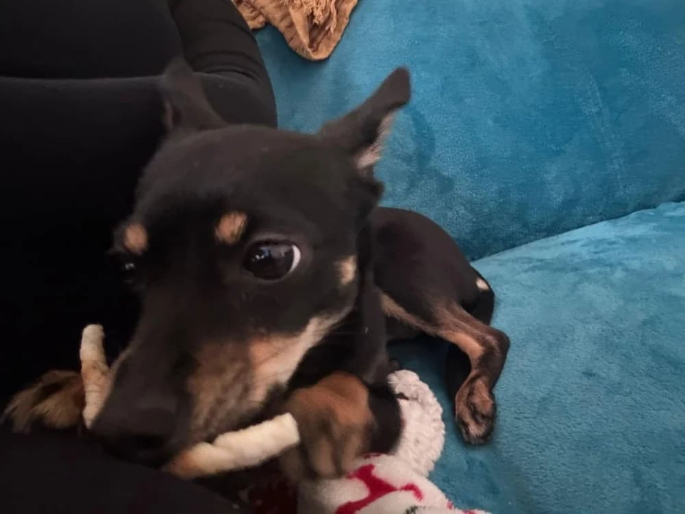 Spice een zonnestraaltje photo 7