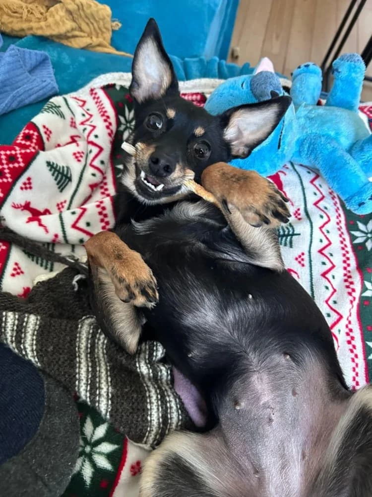 Spice een zonnestraaltje photo 8