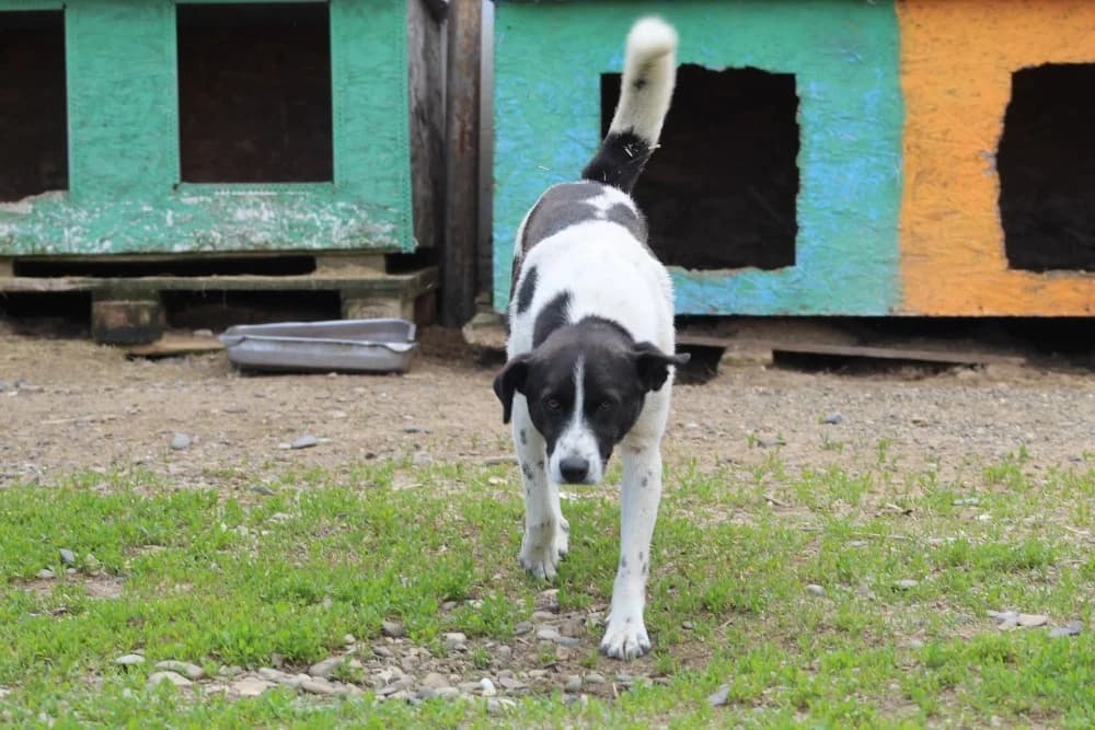 ❤️Spike❤️ photo 7