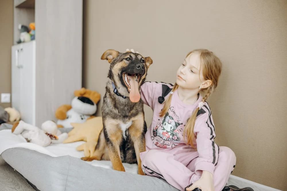 Theo echte knuffelhond