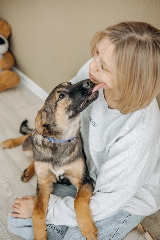 Theo echte knuffelhond photo 4
