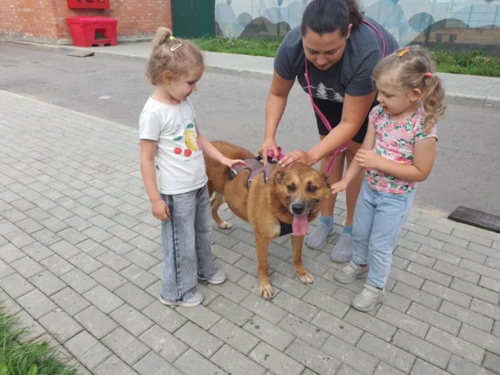 Tim een knuffelbeer photo 8