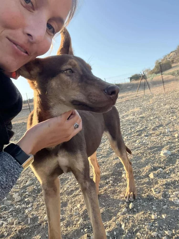 VALENTINA*kattestmogelijk photo 7