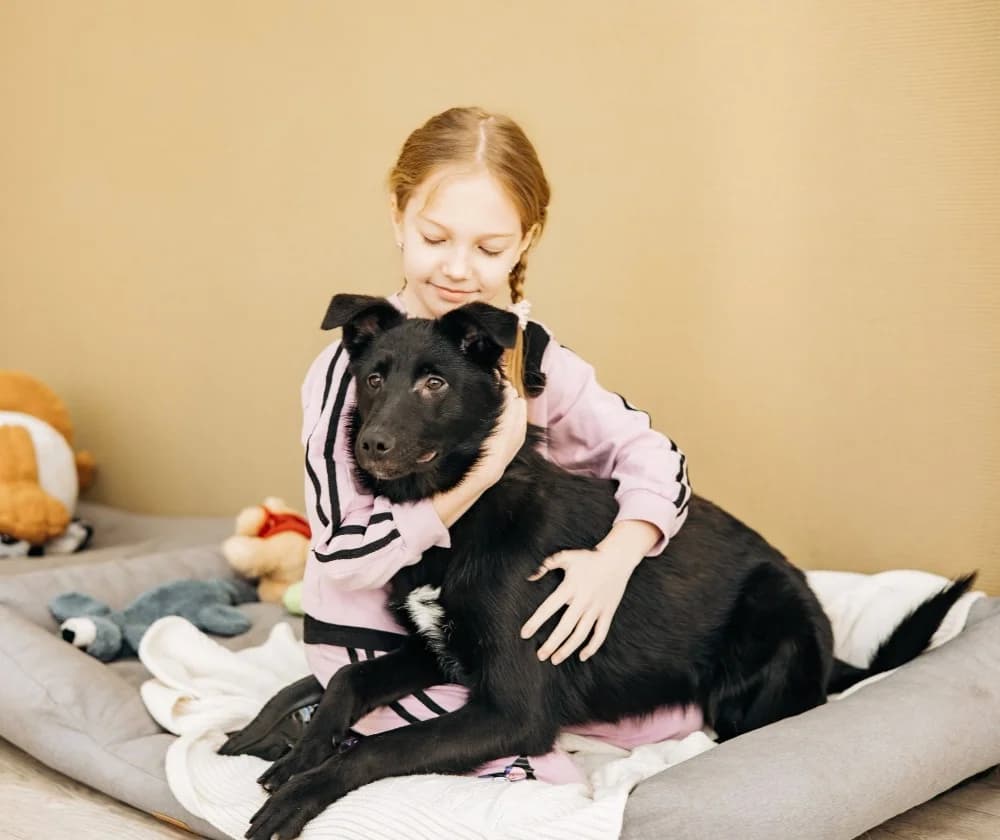 Yasna zoekt forever home photo 4