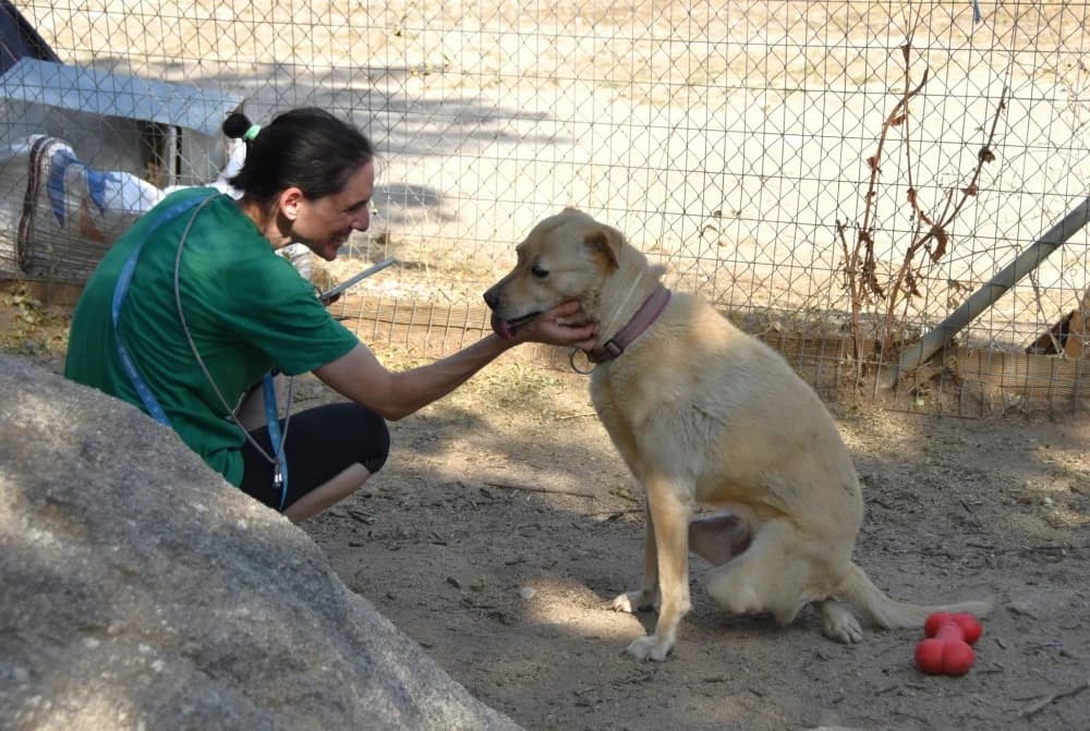 Yuna BR, handicap, senior photo 3