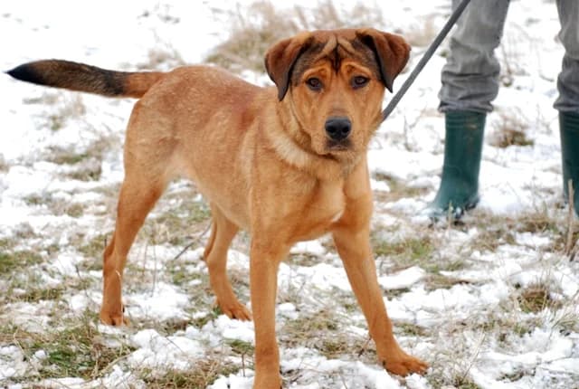 Дива и Кийра photo 3