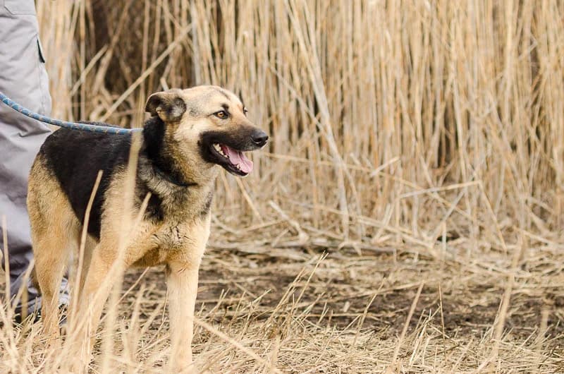 Дива и Кийра photo 4