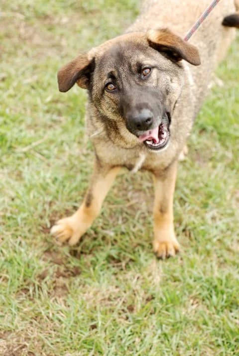 Шишковците photo 5