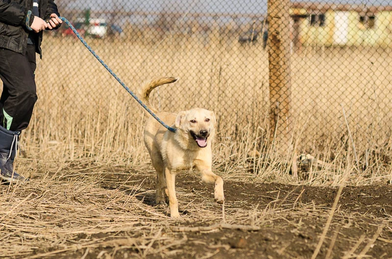 Пораснали хлапета photo 2