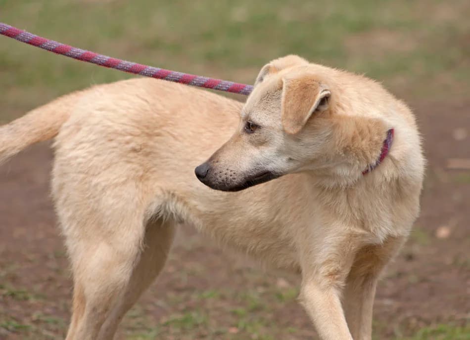 Пораснали хлапета photo 3