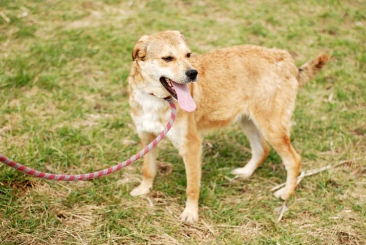 Пораснали хлапета photo 4