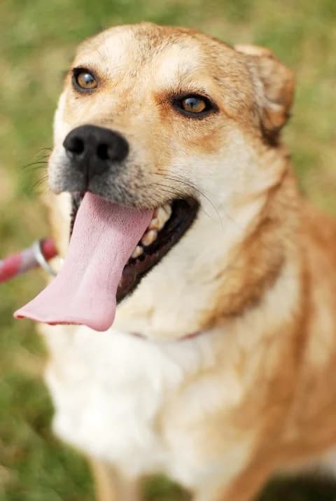 Пораснали хлапета photo 5