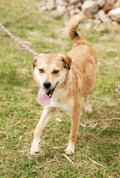 Пораснали хлапета photo 6