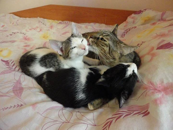 Готови да си отидат вкъщи photo 2