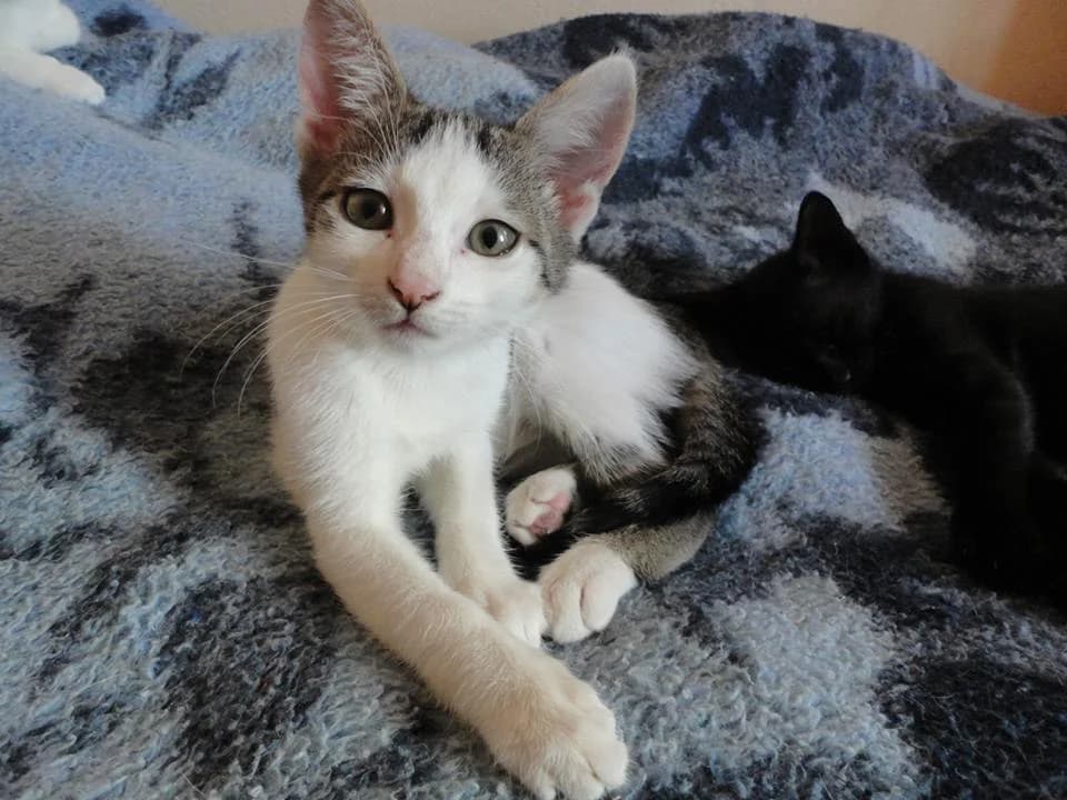 Готови да си отидат вкъщи photo 5