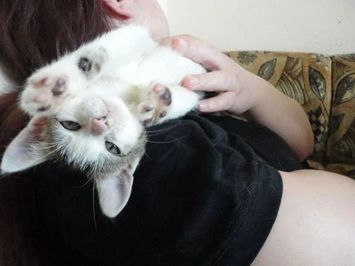 Готови да си отидат вкъщи photo 6