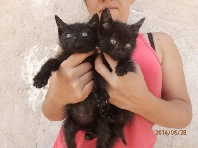 Готови да си отидат вкъщи photo 7